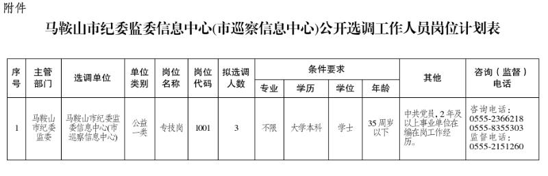 馬鞍山市紀(jì)委監(jiān)委信息中心(市巡察信息中心)公開選調(diào)工作人員崗位計(jì)劃表