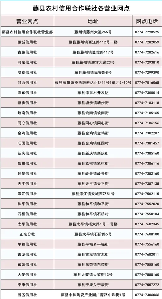 2025年藤縣農(nóng)信社寒假社會(huì)實(shí)踐招募公告